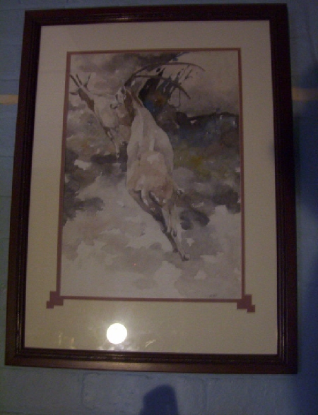 photodeer_0.jpg