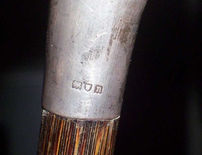 photo-023hmsswalkingstick_0.jpg